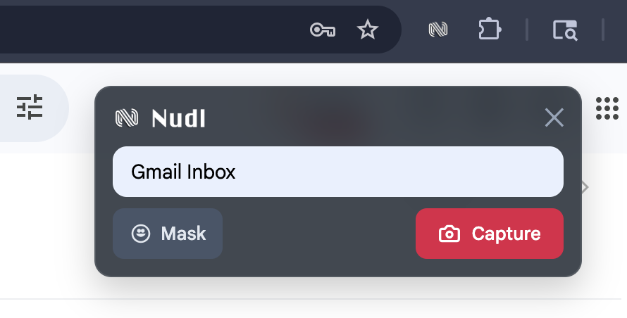 A screenshot of the Nudl application showing how to import a live site.